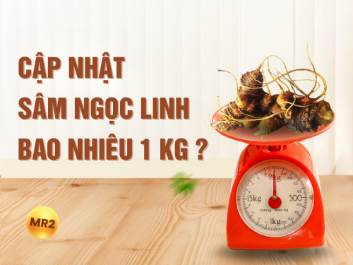 Cập nhật chi tiết và mới nhất 2025: Giá sâm Ngọc Linh hiện nay